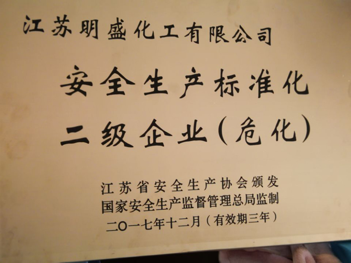 安全生產標準化二級企業